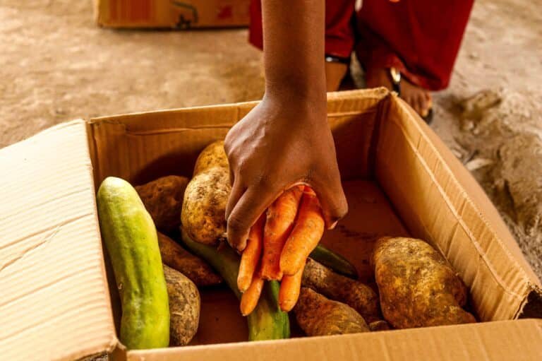 Don de nourriture pour les enfants à Madagascar